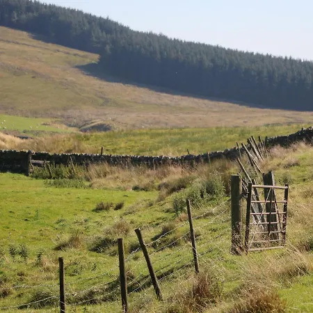 Sycamore Casa de Férias